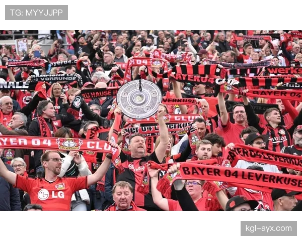 哈里森状态持续攀升，助力球队剑指英超新赛季辉煌