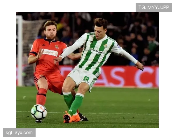 奥萨苏纳攻防平衡